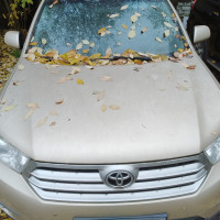 Фото транспортного средства