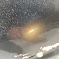 Заднее правое крыло