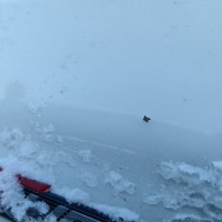 Переднее левое крыло