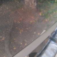 Крышка багажника