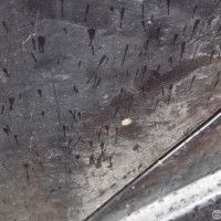 Задняя левая дверь