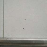 Заднее правое крыло