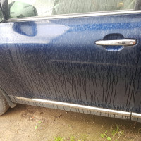 Передняя левая дверь