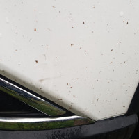 Передний бампер