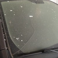 Ветровое стекло