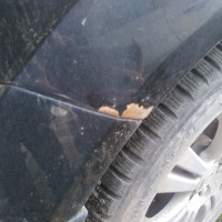 Заднее правое крыло