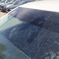 Ветровое стекло