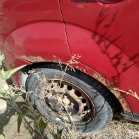 Заднее правое крыло