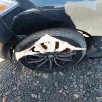 Фото транспортного средства