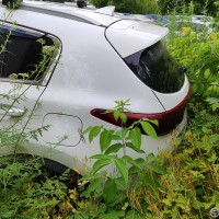 Фото транспортного средства