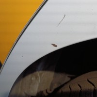 Заднее левое крыло