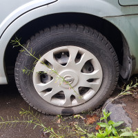 Фото транспортного средства