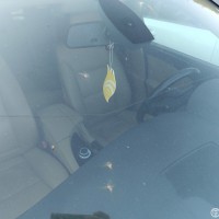 Ветровое стекло