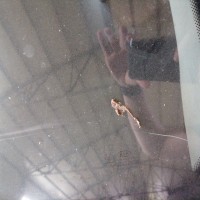 Ветровое стекло