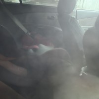 Фото транспортного средства