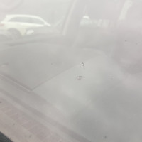 Ветровое стекло