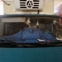 Ветровое стекло