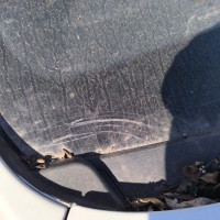 Ветровое стекло