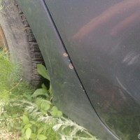 Заднее правое крыло