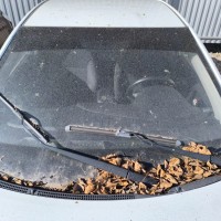 Фото транспортного средства