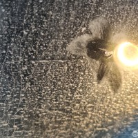 Задняя правая дверь