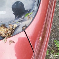 Переднее левое крыло