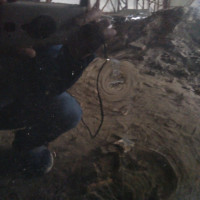 Передняя левая дверь