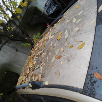 Фото транспортного средства