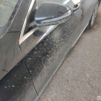 Передняя левая дверь