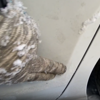 Заднее левое крыло