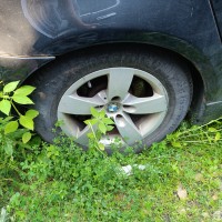 Фото транспортного средства