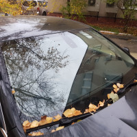 Ветровое стекло