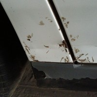 Заднее правое крыло