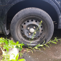 Фото транспортного средства