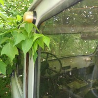 Фото транспортного средства