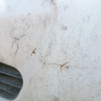 Передний бампер