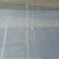 Ветровое стекло