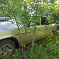 Фото транспортного средства