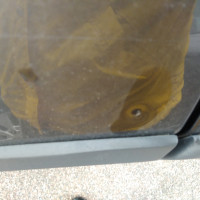 Заднее правое крыло