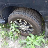 Фото транспортного средства