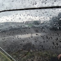Переднее левое крыло