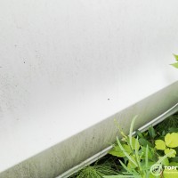 Задняя левая дверь