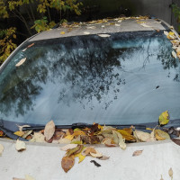 Фото транспортного средства