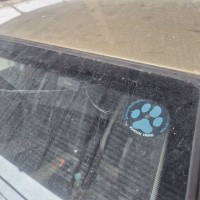 Заднее окно