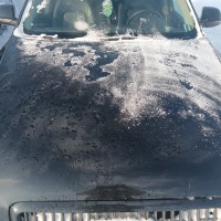 Фото транспортного средства