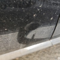 Передняя левая дверь