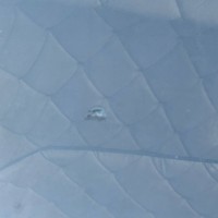 Ветровое стекло