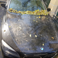 Фото транспортного средства