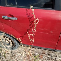 Задняя правая дверь