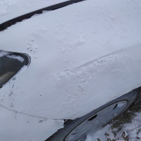 Переднее левое крыло